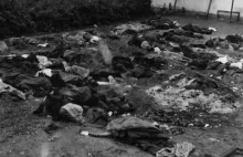 Wobec niemieckiego najazdu, więzienia NKWD spływają krwią