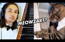 Kot Mozart tworzy hiciora
