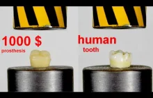 Porównanie wytrzymałości różnych zębów pod prasą hydrauliczną