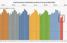 Szczepienia na covid i płodność - 15% spadek urodzeń, statystyki z wielu krajów