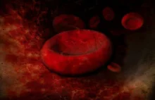 Komórki krwi powstają nieco inaczej niż sądzono. Może mieć to znaczenie...