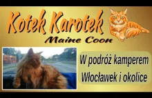 Kotek Karotek w podróży kamperem - Włocławek i okolice.