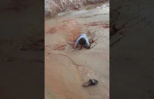 Rzeczywiste ruchome piaski
