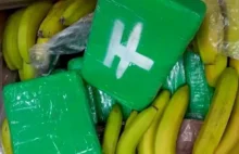 840 kg kokainy w pudełkach z bananami dostarczonymi do sklepu w Czechach -...