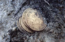 Złote monety, obrączka i nieśmiertelniki odkryte przy ekshumacji niem. żołnierzy
