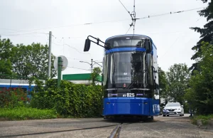 Mężczyzna zmarł podczas interwencji straży miejskiej w Krakowie