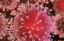 Wirusolog: Epidemia wciąż trwa, wiemy to dzięki badaniu ścieków