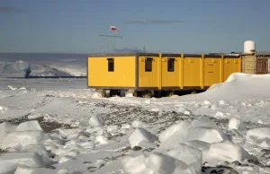 Polscy naukowcy na Antarktyce będą mieć nową siedzibę