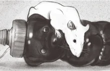 Empatia szczurów, a kwestia eksperymentów na nich.