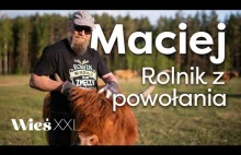 Rolnik opowiada o pasji,opłacalności i krowach rasy Highland Cattle