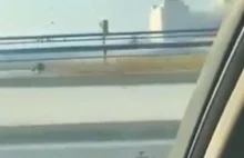 Kierowca jechał autem podczas eksplozji w Bejrucie