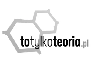 Totylkoteoria.pl: Portal „OKO PRESS” łamie etykę dziennikarską