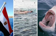 W Hurghadzie na oczach kilkudziesięciu osób rekin rozerwał turystę (wideo)