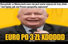 Kaczyński i jego euro po 3 zł XDDD