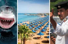 Kolejna turystka zginęła od zębów rekina w Hurghadzie