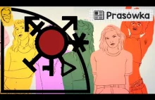 Portal OKO.press publikuje fałszywe informacje na temat badań dotyczących płci