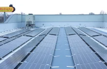 2 tysiące „Biedronek” otrzyma panele słoneczne do 2025 roku