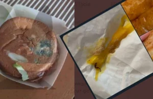 Tak wygląda rosyjski McDonald’s. Serwują klientom zgniłe burgery z robakami