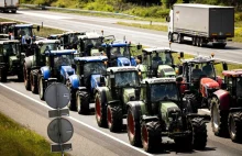 Holandia: Rolnicy protestują. Zaczyna brakować towarów w sklepach