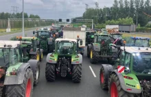 Protesty rolników: Policja strzelała do rolników w Holandii. NAGRANIE WIDEO
