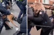 Co się dzieje w Holandii? Policja strzela do ludzi, skala przemocy poraża