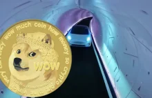 Płatność za przejazdy kryptowalutą? Elon Musk promuje Dogecoin