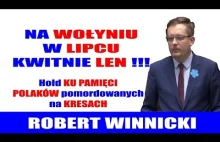 Na Wołyniu w lipcu kwitnie len! Robert Winnicki w Sejmie