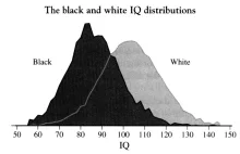Dlaczego lewica neguje konsensus naukowy w sprawie niższej inteligencji murzynów
