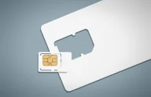 Telefony na kartę wracają do łask? Zmiana trendu w usługach pre-paid