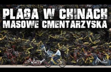 Rowery miejskie w Chinach