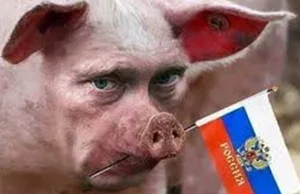 Eksperci ostrzegają Polskę: "Putin naszykował prowokację!" #wykopefekt