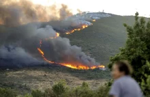 Gigantyczne pożary lasów w Hiszpanii i Portugalii były efektem podpaleń