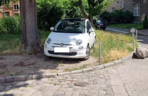 Prezydent Gdańska parkuje na trawniku, a jej siostra nawet... namalowała...