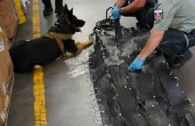 Na Lotnisku w Modlinie próbowano przemycić hamak nasączony kokainą