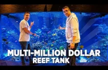 Największe prywatne akwarium w Ameryce