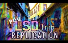 Symulator wzroku po LSD