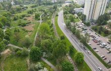 W Poznaniu wytną kolejne drzewa. Aż 121 pod ścieżkę rowerową i trasę kórnicką