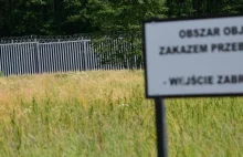 Rzeczniczka SG: służby białoruskie wyposażają migrantów w drabiny i szlifierki