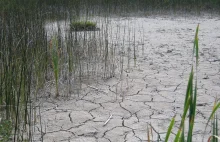 Zanikają naturalne zbiorniki w Polsce - cicha tragedia ekologiczna!