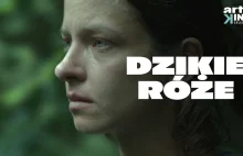"Dzikie róże" (2017) cały film Anny Jadowskiej dostępny za darmo