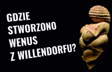 Wenus z Willendorfu - znamy pochodzenie najsławniejszej kobiety paleolitu