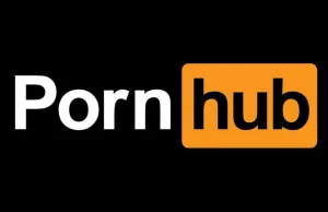 Coroczny raport Pornhub. Mnóstwo grafik, statystyk itd