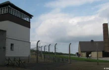 Niemcy: ścięli drzewa pamięci poświęcone pomordowanym w Buchenwald