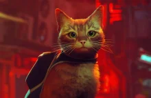 Stray: cyberpunkowa gra z kotem w roli głównej podbija serca graczy