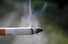 Kanada wycofuje ponad 10 mln paczek papierosów z powodu zagrożenia...podpaleniem