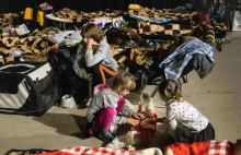 Chcieli wykorzystać dzieci uchodźców. Brytyjscy pedofile ujęci w Polsce