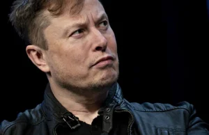 Elon Musk zaprzecza romansowi z żoną współzałożyciela Google