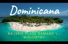 Półwysep Samana na Dominikanie - bez resortów za to są wieloryby i piękne plaże