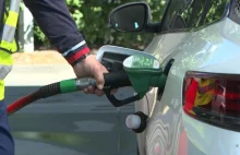 Ekspertka: Jeśli ceny paliw spadną, rząd podwyższy VAT na paliwo