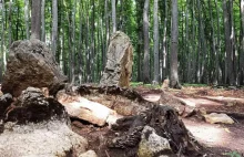 Unikalne pradawne megality na Bukowej Górze w woj. śląskim (GALERIA)